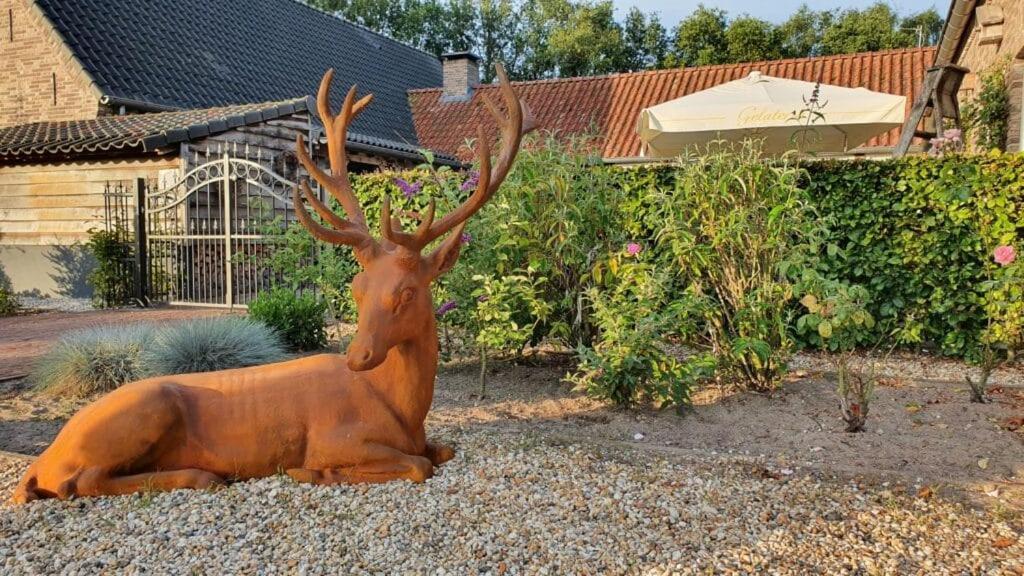 B&B Hof Van Eerde Екстер'єр фото